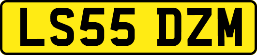 LS55DZM