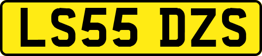 LS55DZS