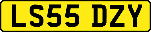 LS55DZY
