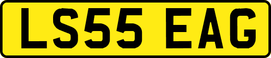LS55EAG