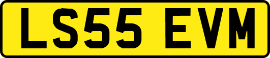 LS55EVM