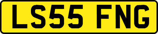 LS55FNG