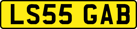LS55GAB