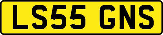 LS55GNS