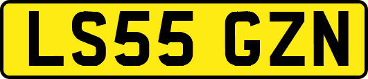 LS55GZN