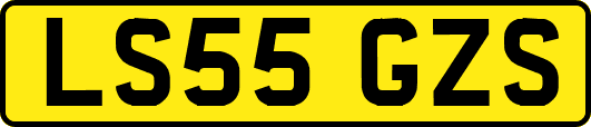 LS55GZS