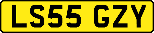 LS55GZY