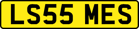 LS55MES