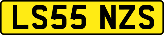 LS55NZS