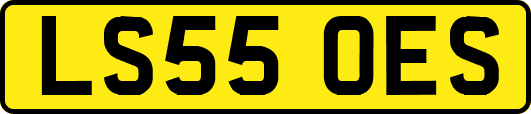 LS55OES