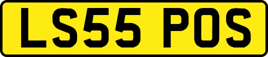 LS55POS