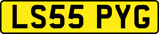 LS55PYG