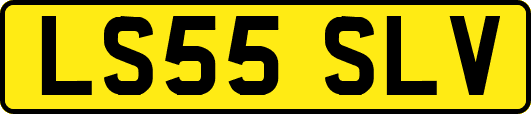 LS55SLV