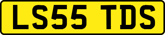 LS55TDS