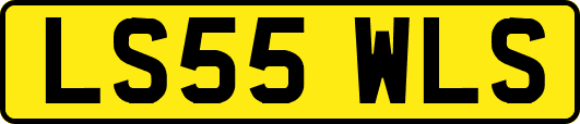 LS55WLS