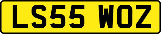 LS55WOZ