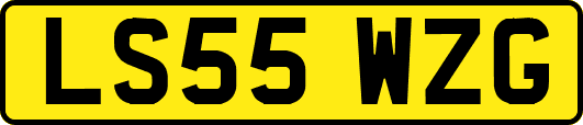LS55WZG