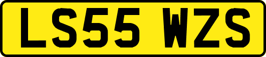 LS55WZS