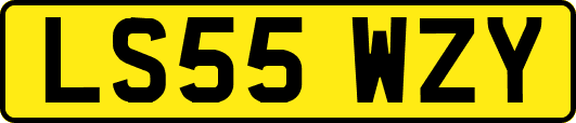 LS55WZY