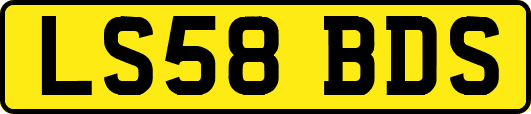LS58BDS
