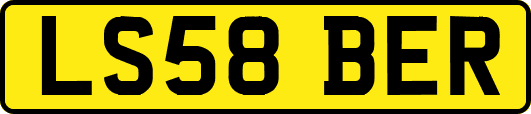 LS58BER