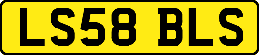 LS58BLS