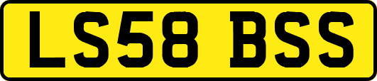 LS58BSS