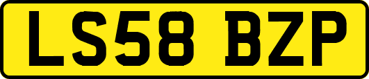 LS58BZP
