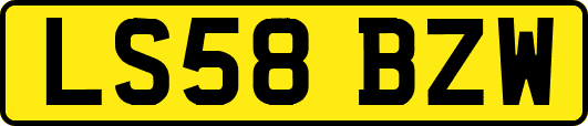 LS58BZW