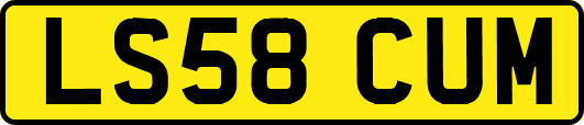 LS58CUM