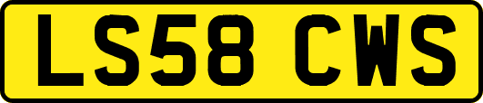 LS58CWS