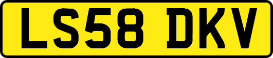 LS58DKV