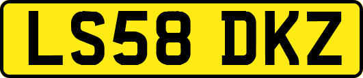 LS58DKZ