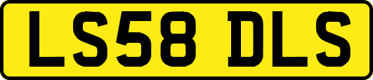 LS58DLS