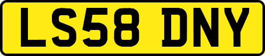 LS58DNY