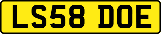 LS58DOE