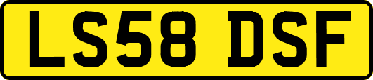 LS58DSF