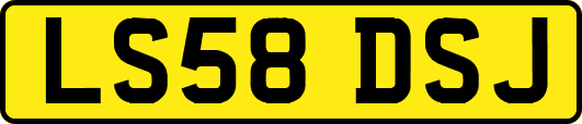 LS58DSJ