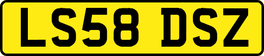 LS58DSZ