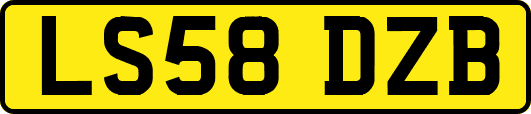LS58DZB