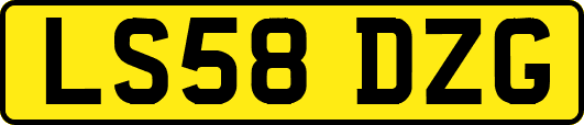 LS58DZG