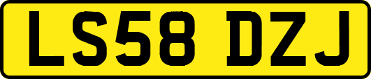 LS58DZJ