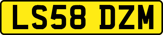 LS58DZM