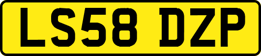 LS58DZP