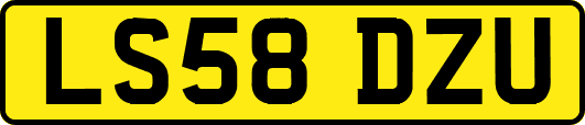 LS58DZU
