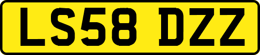 LS58DZZ