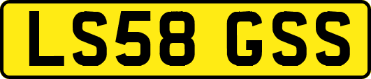 LS58GSS