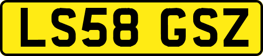 LS58GSZ