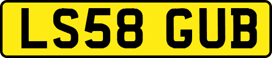 LS58GUB