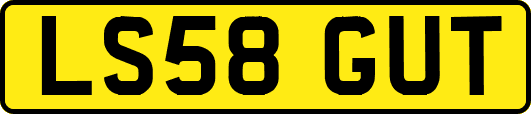 LS58GUT